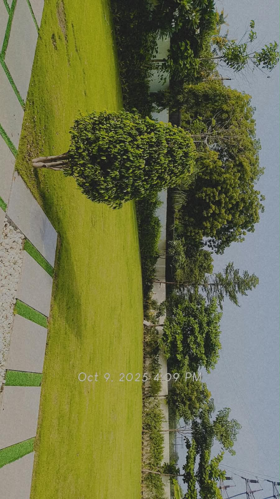 On-site gallery